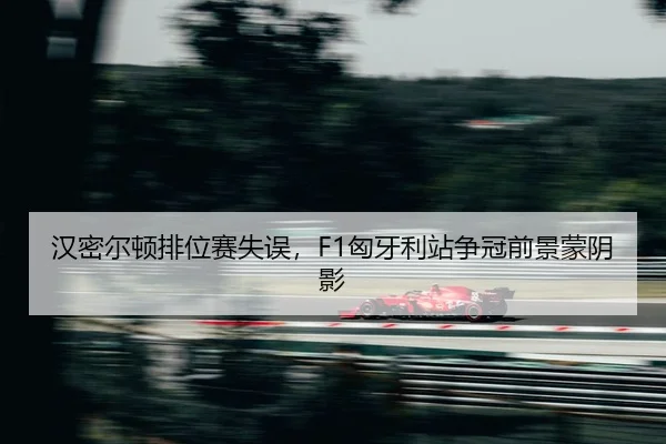 han-mi-er-dun-pai-wei-sai-shi-wu-xiong-ya-li-zhan-zheng-guan-qian-jing-meng-yin-ying-2-644.jpg