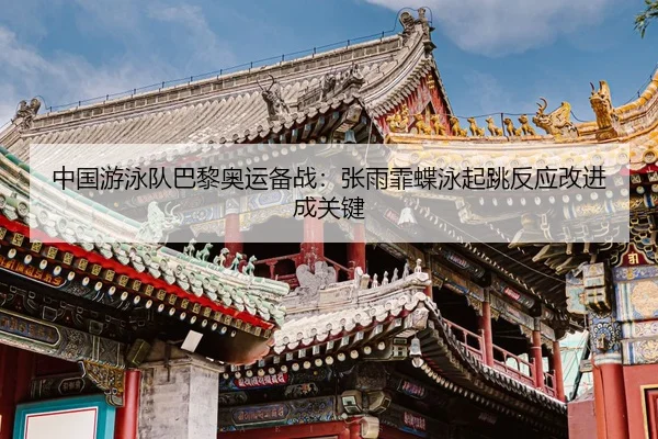 zhong-guo-you-yong-dui-ba-li-ao-yun-bei-zhan-zhang-yu-fei-die-yong-qi-tiao-fan-ying-gai-jin-cheng-guan-jian-3-884.jpg