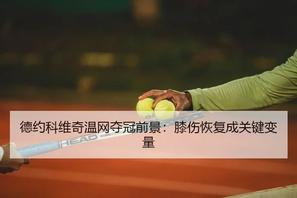 de-yue-ke-wei-qi-wen-wang-duo-guan-qian-jing-xi-shang-hui-fu-cheng-guan-jian-bian-liang-2-790.jpg
