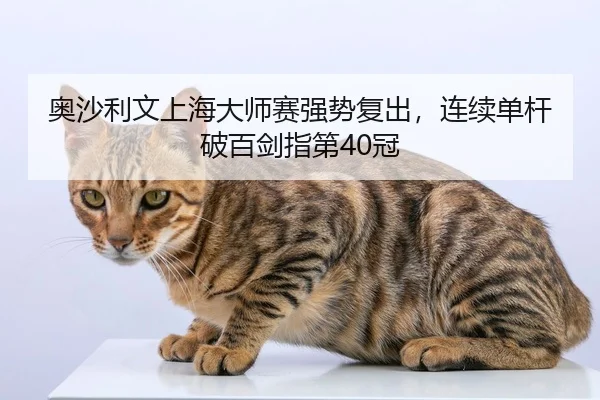 奥沙利文上海大师赛强势复出，连续单杆破百剑指第40冠