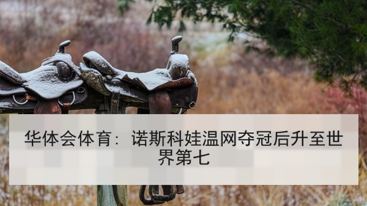 华体会体育: 诺斯科娃温网夺冠后升至世界第七
