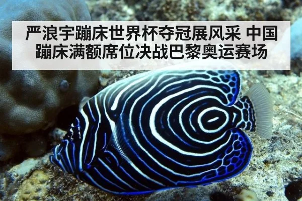严浪宇蹦床世界杯夺冠展风采 中国蹦床满额席位决战巴黎奥运赛场